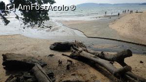 [P34] Monkey Trail - maimute » foto by elenaadina
 - 
<span class="allrVoted glyphicon glyphicon-heart hidden" id="av1524866"></span>
<a class="m-l-10 hidden" id="sv1524866" onclick="voting_Foto_DelVot(,1524866,17822)" role="button">șterge vot <span class="glyphicon glyphicon-remove"></span></a>
<a id="v91524866" class=" c-red"  onclick="voting_Foto_SetVot(1524866)" role="button"><span class="glyphicon glyphicon-heart-empty"></span> <b>LIKE</b> = Votează poza</a> <img class="hidden"  id="f1524866W9" src="/imagini/loader.gif" border="0" /><span class="AjErrMes hidden" id="e1524866ErM"></span>