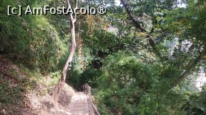 [P39] Monkey Trail - trepte » foto by elenaadina
 - 
<span class="allrVoted glyphicon glyphicon-heart hidden" id="av1524871"></span>
<a class="m-l-10 hidden" id="sv1524871" onclick="voting_Foto_DelVot(,1524871,17822)" role="button">șterge vot <span class="glyphicon glyphicon-remove"></span></a>
<a id="v91524871" class=" c-red"  onclick="voting_Foto_SetVot(1524871)" role="button"><span class="glyphicon glyphicon-heart-empty"></span> <b>LIKE</b> = Votează poza</a> <img class="hidden"  id="f1524871W9" src="/imagini/loader.gif" border="0" /><span class="AjErrMes hidden" id="e1524871ErM"></span>