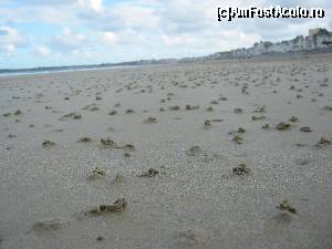 [P20] musuroaie pe plaja din Saint Malo » foto by DarkAng3L
 - 
<span class="allrVoted glyphicon glyphicon-heart hidden" id="av588331"></span>
<a class="m-l-10 hidden" id="sv588331" onclick="voting_Foto_DelVot(,588331,17928)" role="button">șterge vot <span class="glyphicon glyphicon-remove"></span></a>
<a id="v9588331" class=" c-red"  onclick="voting_Foto_SetVot(588331)" role="button"><span class="glyphicon glyphicon-heart-empty"></span> <b>LIKE</b> = Votează poza</a> <img class="hidden"  id="f588331W9" src="/imagini/loader.gif" border="0" /><span class="AjErrMes hidden" id="e588331ErM"></span>