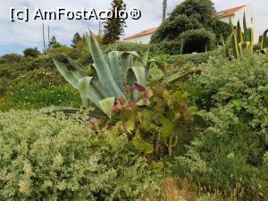 [P25] Gradina salbatica » foto by Bujie
 - 
<span class="allrVoted glyphicon glyphicon-heart hidden" id="av985677"></span>
<a class="m-l-10 hidden" id="sv985677" onclick="voting_Foto_DelVot(,985677,17954)" role="button">șterge vot <span class="glyphicon glyphicon-remove"></span></a>
<a id="v9985677" class=" c-red"  onclick="voting_Foto_SetVot(985677)" role="button"><span class="glyphicon glyphicon-heart-empty"></span> <b>LIKE</b> = Votează poza</a> <img class="hidden"  id="f985677W9" src="/imagini/loader.gif" border="0" /><span class="AjErrMes hidden" id="e985677ErM"></span>