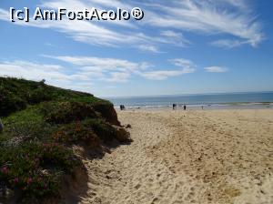 [P42] Praia de St Eulalia » foto by Cris
 - 
<span class="allrVoted glyphicon glyphicon-heart hidden" id="av737319"></span>
<a class="m-l-10 hidden" id="sv737319" onclick="voting_Foto_DelVot(,737319,17954)" role="button">șterge vot <span class="glyphicon glyphicon-remove"></span></a>
<a id="v9737319" class=" c-red"  onclick="voting_Foto_SetVot(737319)" role="button"><span class="glyphicon glyphicon-heart-empty"></span> <b>LIKE</b> = Votează poza</a> <img class="hidden"  id="f737319W9" src="/imagini/loader.gif" border="0" /><span class="AjErrMes hidden" id="e737319ErM"></span>