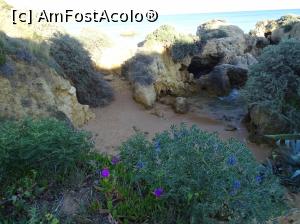 [P94] Albufeira » foto by Cris
 - 
<span class="allrVoted glyphicon glyphicon-heart hidden" id="av737382"></span>
<a class="m-l-10 hidden" id="sv737382" onclick="voting_Foto_DelVot(,737382,17954)" role="button">șterge vot <span class="glyphicon glyphicon-remove"></span></a>
<a id="v9737382" class=" c-red"  onclick="voting_Foto_SetVot(737382)" role="button"><span class="glyphicon glyphicon-heart-empty"></span> <b>LIKE</b> = Votează poza</a> <img class="hidden"  id="f737382W9" src="/imagini/loader.gif" border="0" /><span class="AjErrMes hidden" id="e737382ErM"></span>