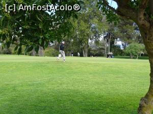 [P51] Pestana Alto Golf » foto by Cris
 - 
<span class="allrVoted glyphicon glyphicon-heart hidden" id="av739793"></span>
<a class="m-l-10 hidden" id="sv739793" onclick="voting_Foto_DelVot(,739793,17954)" role="button">șterge vot <span class="glyphicon glyphicon-remove"></span></a>
<a id="v9739793" class=" c-red"  onclick="voting_Foto_SetVot(739793)" role="button"><span class="glyphicon glyphicon-heart-empty"></span> <b>LIKE</b> = Votează poza</a> <img class="hidden"  id="f739793W9" src="/imagini/loader.gif" border="0" /><span class="AjErrMes hidden" id="e739793ErM"></span>