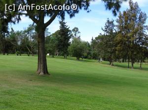 [P53] Pestana Alto Golf » foto by Cris
 - 
<span class="allrVoted glyphicon glyphicon-heart hidden" id="av739795"></span>
<a class="m-l-10 hidden" id="sv739795" onclick="voting_Foto_DelVot(,739795,17954)" role="button">șterge vot <span class="glyphicon glyphicon-remove"></span></a>
<a id="v9739795" class=" c-red"  onclick="voting_Foto_SetVot(739795)" role="button"><span class="glyphicon glyphicon-heart-empty"></span> <b>LIKE</b> = Votează poza</a> <img class="hidden"  id="f739795W9" src="/imagini/loader.gif" border="0" /><span class="AjErrMes hidden" id="e739795ErM"></span>