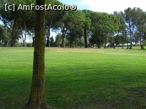 [P58] Pestana Alto Golf » foto by Cris
 - 
<span class="allrVoted glyphicon glyphicon-heart hidden" id="av739800"></span>
<a class="m-l-10 hidden" id="sv739800" onclick="voting_Foto_DelVot(,739800,17954)" role="button">șterge vot <span class="glyphicon glyphicon-remove"></span></a>
<a id="v9739800" class=" c-red"  onclick="voting_Foto_SetVot(739800)" role="button"><span class="glyphicon glyphicon-heart-empty"></span> <b>LIKE</b> = Votează poza</a> <img class="hidden"  id="f739800W9" src="/imagini/loader.gif" border="0" /><span class="AjErrMes hidden" id="e739800ErM"></span>