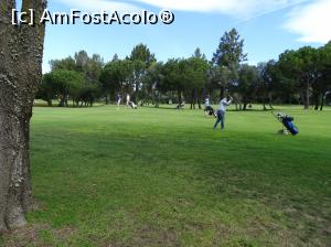 [P59] Pestana Alto Golf » foto by Cris
 - 
<span class="allrVoted glyphicon glyphicon-heart hidden" id="av739801"></span>
<a class="m-l-10 hidden" id="sv739801" onclick="voting_Foto_DelVot(,739801,17954)" role="button">șterge vot <span class="glyphicon glyphicon-remove"></span></a>
<a id="v9739801" class=" c-red"  onclick="voting_Foto_SetVot(739801)" role="button"><span class="glyphicon glyphicon-heart-empty"></span> <b>LIKE</b> = Votează poza</a> <img class="hidden"  id="f739801W9" src="/imagini/loader.gif" border="0" /><span class="AjErrMes hidden" id="e739801ErM"></span>