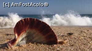 [P01] Pe plajă in Algarve » foto by Mika
 - 
<span class="allrVoted glyphicon glyphicon-heart hidden" id="av1154676"></span>
<a class="m-l-10 hidden" id="sv1154676" onclick="voting_Foto_DelVot(,1154676,17954)" role="button">șterge vot <span class="glyphicon glyphicon-remove"></span></a>
<a id="v91154676" class=" c-red"  onclick="voting_Foto_SetVot(1154676)" role="button"><span class="glyphicon glyphicon-heart-empty"></span> <b>LIKE</b> = Votează poza</a> <img class="hidden"  id="f1154676W9" src="/imagini/loader.gif" border="0" /><span class="AjErrMes hidden" id="e1154676ErM"></span>