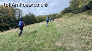 [P13] În Poiana lui Sulica » foto by Mika
 - 
<span class="allrVoted glyphicon glyphicon-heart hidden" id="av1509292"></span>
<a class="m-l-10 hidden" id="sv1509292" onclick="voting_Foto_DelVot(,1509292,17992)" role="button">șterge vot <span class="glyphicon glyphicon-remove"></span></a>
<a id="v91509292" class=" c-red"  onclick="voting_Foto_SetVot(1509292)" role="button"><span class="glyphicon glyphicon-heart-empty"></span> <b>LIKE</b> = Votează poza</a> <img class="hidden"  id="f1509292W9" src="/imagini/loader.gif" border="0" /><span class="AjErrMes hidden" id="e1509292ErM"></span>