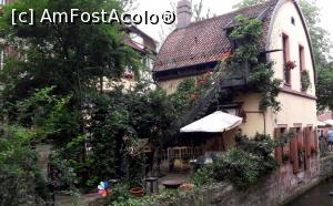 [P07] Multe spații verzi în Freiburg » foto by BOGDAN DSN
 - 
<span class="allrVoted glyphicon glyphicon-heart hidden" id="av956369"></span>
<a class="m-l-10 hidden" id="sv956369" onclick="voting_Foto_DelVot(,956369,18008)" role="button">șterge vot <span class="glyphicon glyphicon-remove"></span></a>
<a id="v9956369" class=" c-red"  onclick="voting_Foto_SetVot(956369)" role="button"><span class="glyphicon glyphicon-heart-empty"></span> <b>LIKE</b> = Votează poza</a> <img class="hidden"  id="f956369W9" src="/imagini/loader.gif" border="0" /><span class="AjErrMes hidden" id="e956369ErM"></span>