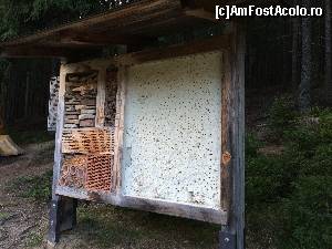 [P07] Parcul Schluhuwana - Insektenhotel (hotel de insecte)  » foto by Aurici
 - 
<span class="allrVoted glyphicon glyphicon-heart hidden" id="av591829"></span>
<a class="m-l-10 hidden" id="sv591829" onclick="voting_Foto_DelVot(,591829,18008)" role="button">șterge vot <span class="glyphicon glyphicon-remove"></span></a>
<a id="v9591829" class=" c-red"  onclick="voting_Foto_SetVot(591829)" role="button"><span class="glyphicon glyphicon-heart-empty"></span> <b>LIKE</b> = Votează poza</a> <img class="hidden"  id="f591829W9" src="/imagini/loader.gif" border="0" /><span class="AjErrMes hidden" id="e591829ErM"></span>