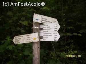 [P17] Indicatoare, aflate în toate punctele importante » foto by puiutea
 - 
<span class="allrVoted glyphicon glyphicon-heart hidden" id="av1024403"></span>
<a class="m-l-10 hidden" id="sv1024403" onclick="voting_Foto_DelVot(,1024403,18008)" role="button">șterge vot <span class="glyphicon glyphicon-remove"></span></a>
<a id="v91024403" class=" c-red"  onclick="voting_Foto_SetVot(1024403)" role="button"><span class="glyphicon glyphicon-heart-empty"></span> <b>LIKE</b> = Votează poza</a> <img class="hidden"  id="f1024403W9" src="/imagini/loader.gif" border="0" /><span class="AjErrMes hidden" id="e1024403ErM"></span>