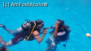 [P04] Pregatirea pentru Scuba, inainte cu o zi, in piscina hotelului.  » foto by aalliinnaa
 - 
<span class="allrVoted glyphicon glyphicon-heart hidden" id="av1140491"></span>
<a class="m-l-10 hidden" id="sv1140491" onclick="voting_Foto_DelVot(,1140491,18011)" role="button">șterge vot <span class="glyphicon glyphicon-remove"></span></a>
<a id="v91140491" class=" c-red"  onclick="voting_Foto_SetVot(1140491)" role="button"><span class="glyphicon glyphicon-heart-empty"></span> <b>LIKE</b> = Votează poza</a> <img class="hidden"  id="f1140491W9" src="/imagini/loader.gif" border="0" /><span class="AjErrMes hidden" id="e1140491ErM"></span>