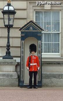 [P05] poza de pe net-de garda la Palatul Buckingham » foto by luciaoradea <span class="label label-default labelC_thin small">NEVOTABILĂ</span>