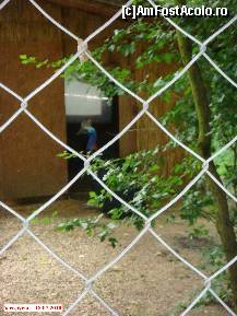 [P13] Zoo Debrecen - Southern Cassowary, o pasăre de prin Indonezia. Tare faină. » foto by creivean
 - 
<span class="allrVoted glyphicon glyphicon-heart hidden" id="av99411"></span>
<a class="m-l-10 hidden" id="sv99411" onclick="voting_Foto_DelVot(,99411,18083)" role="button">șterge vot <span class="glyphicon glyphicon-remove"></span></a>
<a id="v999411" class=" c-red"  onclick="voting_Foto_SetVot(99411)" role="button"><span class="glyphicon glyphicon-heart-empty"></span> <b>LIKE</b> = Votează poza</a> <img class="hidden"  id="f99411W9" src="/imagini/loader.gif" border="0" /><span class="AjErrMes hidden" id="e99411ErM"></span>