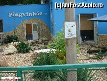 [P20] Zoo Debrecen - Casa pinguinilor, atrăgea ca un magnet kinderii. » foto by creivean
 - 
<span class="allrVoted glyphicon glyphicon-heart hidden" id="av99422"></span>
<a class="m-l-10 hidden" id="sv99422" onclick="voting_Foto_DelVot(,99422,18083)" role="button">șterge vot <span class="glyphicon glyphicon-remove"></span></a>
<a id="v999422" class=" c-red"  onclick="voting_Foto_SetVot(99422)" role="button"><span class="glyphicon glyphicon-heart-empty"></span> <b>LIKE</b> = Votează poza</a> <img class="hidden"  id="f99422W9" src="/imagini/loader.gif" border="0" /><span class="AjErrMes hidden" id="e99422ErM"></span>