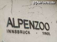 [P21] Welcome to AlpenZoo - Innsbruck - TIROL » foto by boriss007
 - 
<span class="allrVoted glyphicon glyphicon-heart hidden" id="av128727"></span>
<a class="m-l-10 hidden" id="sv128727" onclick="voting_Foto_DelVot(,128727,18084)" role="button">șterge vot <span class="glyphicon glyphicon-remove"></span></a>
<a id="v9128727" class=" c-red"  onclick="voting_Foto_SetVot(128727)" role="button"><span class="glyphicon glyphicon-heart-empty"></span> <b>LIKE</b> = Votează poza</a> <img class="hidden"  id="f128727W9" src="/imagini/loader.gif" border="0" /><span class="AjErrMes hidden" id="e128727ErM"></span>