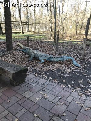 [P18] Zoo Szeged, crocodil din plastic » foto by krisstinna
 - 
<span class="allrVoted glyphicon glyphicon-heart hidden" id="av1135426"></span>
<a class="m-l-10 hidden" id="sv1135426" onclick="voting_Foto_DelVot(,1135426,18089)" role="button">șterge vot <span class="glyphicon glyphicon-remove"></span></a>
<a id="v91135426" class=" c-red"  onclick="voting_Foto_SetVot(1135426)" role="button"><span class="glyphicon glyphicon-heart-empty"></span> <b>LIKE</b> = Votează poza</a> <img class="hidden"  id="f1135426W9" src="/imagini/loader.gif" border="0" /><span class="AjErrMes hidden" id="e1135426ErM"></span>