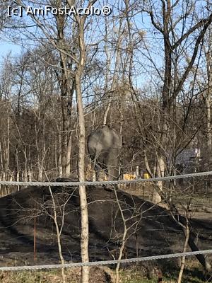 [P54] Zoo Szeged, mama elefant » foto by krisstinna
 - 
<span class="allrVoted glyphicon glyphicon-heart hidden" id="av1135462"></span>
<a class="m-l-10 hidden" id="sv1135462" onclick="voting_Foto_DelVot(,1135462,18089)" role="button">șterge vot <span class="glyphicon glyphicon-remove"></span></a>
<a id="v91135462" class=" c-red"  onclick="voting_Foto_SetVot(1135462)" role="button"><span class="glyphicon glyphicon-heart-empty"></span> <b>LIKE</b> = Votează poza</a> <img class="hidden"  id="f1135462W9" src="/imagini/loader.gif" border="0" /><span class="AjErrMes hidden" id="e1135462ErM"></span>