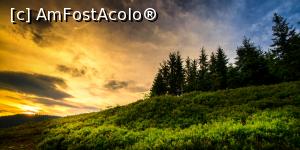 [P07]  -- <small>// FĂRĂ DESCRIERE</small> » foto by Remicade
 - 
<span class="allrVoted glyphicon glyphicon-heart hidden" id="av768605"></span>
<a class="m-l-10 hidden" id="sv768605" onclick="voting_Foto_DelVot(,768605,18142)" role="button">șterge vot <span class="glyphicon glyphicon-remove"></span></a>
<a id="v9768605" class=" c-red"  onclick="voting_Foto_SetVot(768605)" role="button"><span class="glyphicon glyphicon-heart-empty"></span> <b>LIKE</b> = Votează poza</a> <img class="hidden"  id="f768605W9" src="/imagini/loader.gif" border="0" /><span class="AjErrMes hidden" id="e768605ErM"></span>