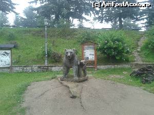 [P09] Metsovo - statuia ursoaicei cu puiul ei » foto by costy69
 - 
<span class="allrVoted glyphicon glyphicon-heart hidden" id="av656461"></span>
<a class="m-l-10 hidden" id="sv656461" onclick="voting_Foto_DelVot(,656461,18401)" role="button">șterge vot <span class="glyphicon glyphicon-remove"></span></a>
<a id="v9656461" class=" c-red"  onclick="voting_Foto_SetVot(656461)" role="button"><span class="glyphicon glyphicon-heart-empty"></span> <b>LIKE</b> = Votează poza</a> <img class="hidden"  id="f656461W9" src="/imagini/loader.gif" border="0" /><span class="AjErrMes hidden" id="e656461ErM"></span>