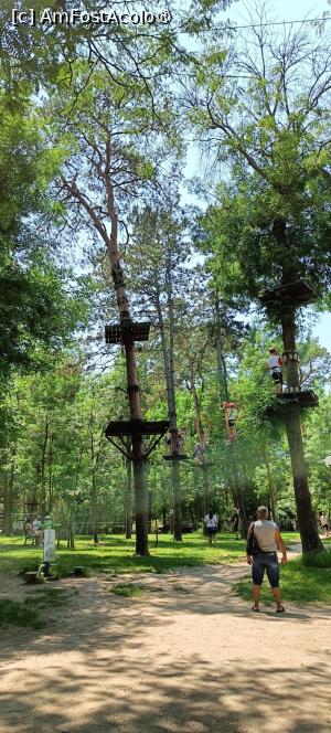 [P25] Parcul de aventură. » foto by tata123 🔱
 - 
<span class="allrVoted glyphicon glyphicon-heart hidden" id="av1486901"></span>
<a class="m-l-10 hidden" id="sv1486901" onclick="voting_Foto_DelVot(,1486901,18559)" role="button">șterge vot <span class="glyphicon glyphicon-remove"></span></a>
<a id="v91486901" class=" c-red"  onclick="voting_Foto_SetVot(1486901)" role="button"><span class="glyphicon glyphicon-heart-empty"></span> <b>LIKE</b> = Votează poza</a> <img class="hidden"  id="f1486901W9" src="/imagini/loader.gif" border="0" /><span class="AjErrMes hidden" id="e1486901ErM"></span>
