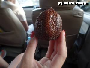 [P28] snake fruit » foto by corina pavel
 - 
<span class="allrVoted glyphicon glyphicon-heart hidden" id="av628430"></span>
<a class="m-l-10 hidden" id="sv628430" onclick="voting_Foto_DelVot(,628430,18611)" role="button">șterge vot <span class="glyphicon glyphicon-remove"></span></a>
<a id="v9628430" class=" c-red"  onclick="voting_Foto_SetVot(628430)" role="button"><span class="glyphicon glyphicon-heart-empty"></span> <b>LIKE</b> = Votează poza</a> <img class="hidden"  id="f628430W9" src="/imagini/loader.gif" border="0" /><span class="AjErrMes hidden" id="e628430ErM"></span>