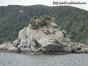 [P03] Skopelos, stanca cu biserica Agios Ioannis.  » foto by maryka
 - 
<span class="allrVoted glyphicon glyphicon-heart hidden" id="av630494"></span>
<a class="m-l-10 hidden" id="sv630494" onclick="voting_Foto_DelVot(,630494,18640)" role="button">șterge vot <span class="glyphicon glyphicon-remove"></span></a>
<a id="v9630494" class=" c-red"  onclick="voting_Foto_SetVot(630494)" role="button"><span class="glyphicon glyphicon-heart-empty"></span> <b>LIKE</b> = Votează poza</a> <img class="hidden"  id="f630494W9" src="/imagini/loader.gif" border="0" /><span class="AjErrMes hidden" id="e630494ErM"></span>