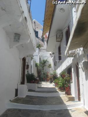 [P18] Alta straduta din Skopelos-city » foto by dorgo
 - 
<span class="allrVoted glyphicon glyphicon-heart hidden" id="av643840"></span>
<a class="m-l-10 hidden" id="sv643840" onclick="voting_Foto_DelVot(,643840,18640)" role="button">șterge vot <span class="glyphicon glyphicon-remove"></span></a>
<a id="v9643840" class=" c-red"  onclick="voting_Foto_SetVot(643840)" role="button"><span class="glyphicon glyphicon-heart-empty"></span> <b>LIKE</b> = Votează poza</a> <img class="hidden"  id="f643840W9" src="/imagini/loader.gif" border="0" /><span class="AjErrMes hidden" id="e643840ErM"></span>