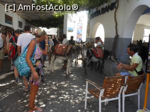 [P05] Lindos - antic și medieval. La baza colinei, în sat, stația de... măgăruși.  » foto by iulianic
 - 
<span class="allrVoted glyphicon glyphicon-heart hidden" id="av1017917"></span>
<a class="m-l-10 hidden" id="sv1017917" onclick="voting_Foto_DelVot(,1017917,18817)" role="button">șterge vot <span class="glyphicon glyphicon-remove"></span></a>
<a id="v91017917" class=" c-red"  onclick="voting_Foto_SetVot(1017917)" role="button"><span class="glyphicon glyphicon-heart-empty"></span> <b>LIKE</b> = Votează poza</a> <img class="hidden"  id="f1017917W9" src="/imagini/loader.gif" border="0" /><span class="AjErrMes hidden" id="e1017917ErM"></span>