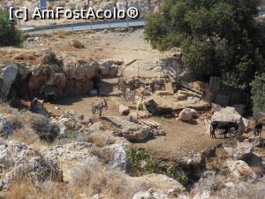 [P60] Lindos - antic și medieval. Măgăruși în așteptare.  » foto by iulianic
 - 
<span class="allrVoted glyphicon glyphicon-heart hidden" id="av1017980"></span>
<a class="m-l-10 hidden" id="sv1017980" onclick="voting_Foto_DelVot(,1017980,18817)" role="button">șterge vot <span class="glyphicon glyphicon-remove"></span></a>
<a id="v91017980" class=" c-red"  onclick="voting_Foto_SetVot(1017980)" role="button"><span class="glyphicon glyphicon-heart-empty"></span> <b>LIKE</b> = Votează poza</a> <img class="hidden"  id="f1017980W9" src="/imagini/loader.gif" border="0" /><span class="AjErrMes hidden" id="e1017980ErM"></span>