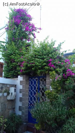 P09 [SEP-2018] Multe flori la poarta uneia dintre case