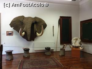 [P35] <strong>Camerele trofeelor de vacanta</strong>, dedicata trofeelor impaiate ale animalelor din Europa si Africa, vanate de P&aacute;ncz&eacute;l Zolt&aacute;n Tibor, care a fost donata, la dorinta lui, de mostenitorii acestuia in 2013. » foto by geani anto
 - 
<span class="allrVoted glyphicon glyphicon-heart hidden" id="av1203539"></span>
<a class="m-l-10 hidden" id="sv1203539" onclick="voting_Foto_DelVot(,1203539,18846)" role="button">șterge vot <span class="glyphicon glyphicon-remove"></span></a>
<a id="v91203539" class=" c-red"  onclick="voting_Foto_SetVot(1203539)" role="button"><span class="glyphicon glyphicon-heart-empty"></span> <b>LIKE</b> = Votează poza</a> <img class="hidden"  id="f1203539W9" src="/imagini/loader.gif" border="0" /><span class="AjErrMes hidden" id="e1203539ErM"></span>