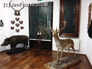 [P39]  -- <small>// FĂRĂ DESCRIERE</small> » foto by geani anto
 - 
<span class="allrVoted glyphicon glyphicon-heart hidden" id="av1203543"></span>
<a class="m-l-10 hidden" id="sv1203543" onclick="voting_Foto_DelVot(,1203543,18846)" role="button">șterge vot <span class="glyphicon glyphicon-remove"></span></a>
<a id="v91203543" class=" c-red"  onclick="voting_Foto_SetVot(1203543)" role="button"><span class="glyphicon glyphicon-heart-empty"></span> <b>LIKE</b> = Votează poza</a> <img class="hidden"  id="f1203543W9" src="/imagini/loader.gif" border="0" /><span class="AjErrMes hidden" id="e1203543ErM"></span>