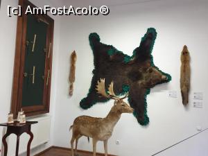 [P40]  -- <small>// FĂRĂ DESCRIERE</small> » foto by geani anto
 - 
<span class="allrVoted glyphicon glyphicon-heart hidden" id="av1203544"></span>
<a class="m-l-10 hidden" id="sv1203544" onclick="voting_Foto_DelVot(,1203544,18846)" role="button">șterge vot <span class="glyphicon glyphicon-remove"></span></a>
<a id="v91203544" class=" c-red"  onclick="voting_Foto_SetVot(1203544)" role="button"><span class="glyphicon glyphicon-heart-empty"></span> <b>LIKE</b> = Votează poza</a> <img class="hidden"  id="f1203544W9" src="/imagini/loader.gif" border="0" /><span class="AjErrMes hidden" id="e1203544ErM"></span>