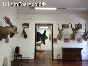 [P42]  -- <small>// FĂRĂ DESCRIERE</small> » foto by geani anto
 - 
<span class="allrVoted glyphicon glyphicon-heart hidden" id="av1203546"></span>
<a class="m-l-10 hidden" id="sv1203546" onclick="voting_Foto_DelVot(,1203546,18846)" role="button">șterge vot <span class="glyphicon glyphicon-remove"></span></a>
<a id="v91203546" class=" c-red"  onclick="voting_Foto_SetVot(1203546)" role="button"><span class="glyphicon glyphicon-heart-empty"></span> <b>LIKE</b> = Votează poza</a> <img class="hidden"  id="f1203546W9" src="/imagini/loader.gif" border="0" /><span class="AjErrMes hidden" id="e1203546ErM"></span>