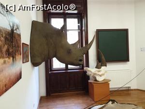 [P44]  -- <small>// FĂRĂ DESCRIERE</small> » foto by geani anto
 - 
<span class="allrVoted glyphicon glyphicon-heart hidden" id="av1203548"></span>
<a class="m-l-10 hidden" id="sv1203548" onclick="voting_Foto_DelVot(,1203548,18846)" role="button">șterge vot <span class="glyphicon glyphicon-remove"></span></a>
<a id="v91203548" class=" c-red"  onclick="voting_Foto_SetVot(1203548)" role="button"><span class="glyphicon glyphicon-heart-empty"></span> <b>LIKE</b> = Votează poza</a> <img class="hidden"  id="f1203548W9" src="/imagini/loader.gif" border="0" /><span class="AjErrMes hidden" id="e1203548ErM"></span>