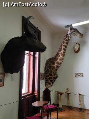 [P46]  -- <small>// FĂRĂ DESCRIERE</small> » foto by geani anto
 - 
<span class="allrVoted glyphicon glyphicon-heart hidden" id="av1203550"></span>
<a class="m-l-10 hidden" id="sv1203550" onclick="voting_Foto_DelVot(,1203550,18846)" role="button">șterge vot <span class="glyphicon glyphicon-remove"></span></a>
<a id="v91203550" class=" c-red"  onclick="voting_Foto_SetVot(1203550)" role="button"><span class="glyphicon glyphicon-heart-empty"></span> <b>LIKE</b> = Votează poza</a> <img class="hidden"  id="f1203550W9" src="/imagini/loader.gif" border="0" /><span class="AjErrMes hidden" id="e1203550ErM"></span>