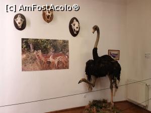 [P47]  -- <small>// FĂRĂ DESCRIERE</small> » foto by geani anto
 - 
<span class="allrVoted glyphicon glyphicon-heart hidden" id="av1203551"></span>
<a class="m-l-10 hidden" id="sv1203551" onclick="voting_Foto_DelVot(,1203551,18846)" role="button">șterge vot <span class="glyphicon glyphicon-remove"></span></a>
<a id="v91203551" class=" c-red"  onclick="voting_Foto_SetVot(1203551)" role="button"><span class="glyphicon glyphicon-heart-empty"></span> <b>LIKE</b> = Votează poza</a> <img class="hidden"  id="f1203551W9" src="/imagini/loader.gif" border="0" /><span class="AjErrMes hidden" id="e1203551ErM"></span>