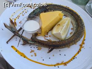 [P12] Restaurant Între Ape; zargan » foto by crismis
 - 
<span class="allrVoted glyphicon glyphicon-heart hidden" id="av1534224"></span>
<a class="m-l-10 hidden" id="sv1534224" onclick="voting_Foto_DelVot(,1534224,18876)" role="button">șterge vot <span class="glyphicon glyphicon-remove"></span></a>
<a id="v91534224" class=" c-red"  onclick="voting_Foto_SetVot(1534224)" role="button"><span class="glyphicon glyphicon-heart-empty"></span> <b>LIKE</b> = Votează poza</a> <img class="hidden"  id="f1534224W9" src="/imagini/loader.gif" border="0" /><span class="AjErrMes hidden" id="e1534224ErM"></span>