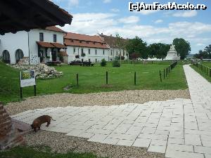 [P29] Alba Iulia. Pe TRASEUL CELOR TREI FORTIFICAȚII. Winnie: 'ăștia au intrat toți în Temniță și pe mine m-au abandonat aici! ' :-)  » foto by FlorinAndrei
 - 
<span class="allrVoted glyphicon glyphicon-heart hidden" id="av615561"></span>
<a class="m-l-10 hidden" id="sv615561" onclick="voting_Foto_DelVot(,615561,18888)" role="button">șterge vot <span class="glyphicon glyphicon-remove"></span></a>
<a id="v9615561" class=" c-red"  onclick="voting_Foto_SetVot(615561)" role="button"><span class="glyphicon glyphicon-heart-empty"></span> <b>LIKE</b> = Votează poza</a> <img class="hidden"  id="f615561W9" src="/imagini/loader.gif" border="0" /><span class="AjErrMes hidden" id="e615561ErM"></span>