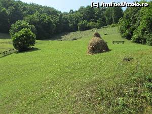 [P19] Vedere de pe balconul camerei » foto by Testosu'
 - 
<span class="allrVoted glyphicon glyphicon-heart hidden" id="av645366"></span>
<a class="m-l-10 hidden" id="sv645366" onclick="voting_Foto_DelVot(,645366,18901)" role="button">șterge vot <span class="glyphicon glyphicon-remove"></span></a>
<a id="v9645366" class=" c-red"  onclick="voting_Foto_SetVot(645366)" role="button"><span class="glyphicon glyphicon-heart-empty"></span> <b>LIKE</b> = Votează poza</a> <img class="hidden"  id="f645366W9" src="/imagini/loader.gif" border="0" /><span class="AjErrMes hidden" id="e645366ErM"></span>