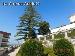 [P30] Palácio Nacional de Sintra, grădinile sale » foto by irinad
 - 
<span class="allrVoted glyphicon glyphicon-heart hidden" id="av1293173"></span>
<a class="m-l-10 hidden" id="sv1293173" onclick="voting_Foto_DelVot(,1293173,19396)" role="button">șterge vot <span class="glyphicon glyphicon-remove"></span></a>
<a id="v91293173" class=" c-red"  onclick="voting_Foto_SetVot(1293173)" role="button"><span class="glyphicon glyphicon-heart-empty"></span> <b>LIKE</b> = Votează poza</a> <img class="hidden"  id="f1293173W9" src="/imagini/loader.gif" border="0" /><span class="AjErrMes hidden" id="e1293173ErM"></span>