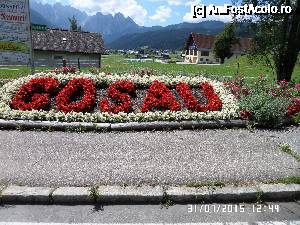 [P01] Am fost primiți cu flori în Gosau am Dachstein...  » foto by Alina53
 - 
<span class="allrVoted glyphicon glyphicon-heart hidden" id="av692885"></span>
<a class="m-l-10 hidden" id="sv692885" onclick="voting_Foto_DelVot(,692885,19671)" role="button">șterge vot <span class="glyphicon glyphicon-remove"></span></a>
<a id="v9692885" class=" c-red"  onclick="voting_Foto_SetVot(692885)" role="button"><span class="glyphicon glyphicon-heart-empty"></span> <b>LIKE</b> = Votează poza</a> <img class="hidden"  id="f692885W9" src="/imagini/loader.gif" border="0" /><span class="AjErrMes hidden" id="e692885ErM"></span>