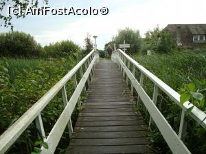 [P06] Podul de lemn apare la un cot... olandezul meu testează durabilitatea -de aici o iei spre Giethoorn cu bicicleta.  » foto by mireille
 - 
<span class="allrVoted glyphicon glyphicon-heart hidden" id="av931061"></span>
<a class="m-l-10 hidden" id="sv931061" onclick="voting_Foto_DelVot(,931061,19677)" role="button">șterge vot <span class="glyphicon glyphicon-remove"></span></a>
<a id="v9931061" class=" c-red"  onclick="voting_Foto_SetVot(931061)" role="button"><span class="glyphicon glyphicon-heart-empty"></span> <b>LIKE</b> = Votează poza</a> <img class="hidden"  id="f931061W9" src="/imagini/loader.gif" border="0" /><span class="AjErrMes hidden" id="e931061ErM"></span>