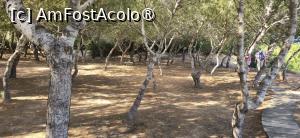 [P08] 08. Dacă nu ar fi câteva alei, am crede că suntem într-o pădure. » foto by msnd
 - 
<span class="allrVoted glyphicon glyphicon-heart hidden" id="av1503766"></span>
<a class="m-l-10 hidden" id="sv1503766" onclick="voting_Foto_DelVot(,1503766,19760)" role="button">șterge vot <span class="glyphicon glyphicon-remove"></span></a>
<a id="v91503766" class=" c-red"  onclick="voting_Foto_SetVot(1503766)" role="button"><span class="glyphicon glyphicon-heart-empty"></span> <b>LIKE</b> = Votează poza</a> <img class="hidden"  id="f1503766W9" src="/imagini/loader.gif" border="0" /><span class="AjErrMes hidden" id="e1503766ErM"></span>