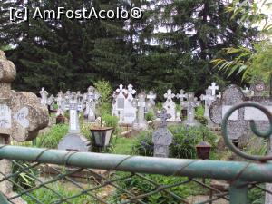 [P25] Micul cimitir al Mănăstirii Sf. Nicolae Balamuci.  » foto by Carmen Ion
 - 
<span class="allrVoted glyphicon glyphicon-heart hidden" id="av741493"></span>
<a class="m-l-10 hidden" id="sv741493" onclick="voting_Foto_DelVot(,741493,19771)" role="button">șterge vot <span class="glyphicon glyphicon-remove"></span></a>
<a id="v9741493" class=" c-red"  onclick="voting_Foto_SetVot(741493)" role="button"><span class="glyphicon glyphicon-heart-empty"></span> <b>LIKE</b> = Votează poza</a> <img class="hidden"  id="f741493W9" src="/imagini/loader.gif" border="0" /><span class="AjErrMes hidden" id="e741493ErM"></span>