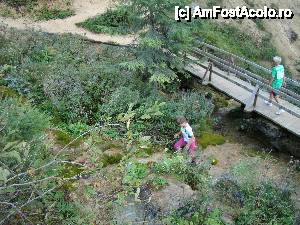 [P20] „Cascada Pişoaia” / Podeţul ce trece peste Slatina.  » foto by Utube
 - 
<span class="allrVoted glyphicon glyphicon-heart hidden" id="av410651"></span>
<a class="m-l-10 hidden" id="sv410651" onclick="voting_Foto_DelVot(,410651,19774)" role="button">șterge vot <span class="glyphicon glyphicon-remove"></span></a>
<a id="v9410651" class=" c-red"  onclick="voting_Foto_SetVot(410651)" role="button"><span class="glyphicon glyphicon-heart-empty"></span> <b>LIKE</b> = Votează poza</a> <img class="hidden"  id="f410651W9" src="/imagini/loader.gif" border="0" /><span class="AjErrMes hidden" id="e410651ErM"></span>