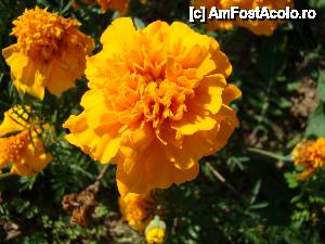 [P29] „Cascada Pişoaia” / D-ale naturii.  » foto by Utube
 - 
<span class="allrVoted glyphicon glyphicon-heart hidden" id="av410660"></span>
<a class="m-l-10 hidden" id="sv410660" onclick="voting_Foto_DelVot(,410660,19774)" role="button">șterge vot <span class="glyphicon glyphicon-remove"></span></a>
<a id="v9410660" class=" c-red"  onclick="voting_Foto_SetVot(410660)" role="button"><span class="glyphicon glyphicon-heart-empty"></span> <b>LIKE</b> = Votează poza</a> <img class="hidden"  id="f410660W9" src="/imagini/loader.gif" border="0" /><span class="AjErrMes hidden" id="e410660ErM"></span>