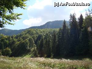 [P30] „Cascada Pişoaia” / Muntele Struţul. Aici suntem deasupra şi în spatele cascadei.  » foto by Utube
 - 
<span class="allrVoted glyphicon glyphicon-heart hidden" id="av410661"></span>
<a class="m-l-10 hidden" id="sv410661" onclick="voting_Foto_DelVot(,410661,19774)" role="button">șterge vot <span class="glyphicon glyphicon-remove"></span></a>
<a id="v9410661" class=" c-red"  onclick="voting_Foto_SetVot(410661)" role="button"><span class="glyphicon glyphicon-heart-empty"></span> <b>LIKE</b> = Votează poza</a> <img class="hidden"  id="f410661W9" src="/imagini/loader.gif" border="0" /><span class="AjErrMes hidden" id="e410661ErM"></span>