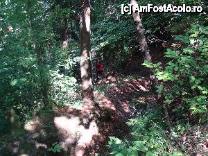 [P42] „Cascada Pişoaia” / Poteca ce coboară de la cascadă.  » foto by Utube
 - 
<span class="allrVoted glyphicon glyphicon-heart hidden" id="av410673"></span>
<a class="m-l-10 hidden" id="sv410673" onclick="voting_Foto_DelVot(,410673,19774)" role="button">șterge vot <span class="glyphicon glyphicon-remove"></span></a>
<a id="v9410673" class=" c-red"  onclick="voting_Foto_SetVot(410673)" role="button"><span class="glyphicon glyphicon-heart-empty"></span> <b>LIKE</b> = Votează poza</a> <img class="hidden"  id="f410673W9" src="/imagini/loader.gif" border="0" /><span class="AjErrMes hidden" id="e410673ErM"></span>
